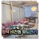 렌느제이 - 천안시 서북구 | 비전동 웨딩관리 받고 물광피부 된 날, 렌느제이 솔직후기