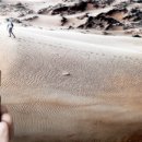 (주)코숨 이미지