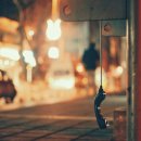 디디디 이미지
