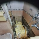 시민로 77번길 이미지