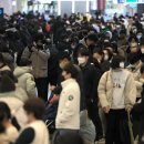 제주동동 이미지
