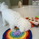 유앤퍼피 이미지