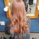 토브헤어 이미지