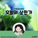 대성종합전자 이미지