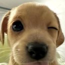 네일하는날 | 알리에서 네일재료 사고 셀프네일하는 후기💅