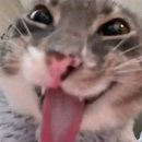 익산곱창갈비(익산본점) | 25년 마무리 -12월 몰아보기