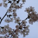 사직야구장 주변 이미지