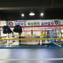 송강홍복싱