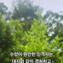 수양 이미지