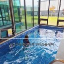 다이아풀빌라 | 경주 풀빌라 독채 다이아풀빌라펜션 3대모녀가 함께한 여행