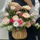 [부산] 자유시장 꽃시장, 꽃수레 카네이션