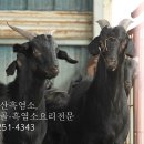 황토골 사슴 농장 이미지