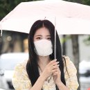 유정치킨 뉴스엔