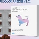 엔케이플러스 네이버블로그