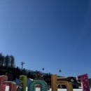 스키광장 | [25/26시즌]하이원 스키장 2일차 마운틴 스키 하우스 눈썰매장 후기 4편(운탄고도 케이블카 운영시간...