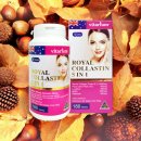 로얄피시 이미지