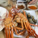 수향모텔 | #7 옥부기 밥집후기: 주문진 횟집 수향수산 솔직후기! 주차정보, 가격과 구성 알아보기!