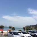 바보형제쭈꾸미(일산점) 이미지