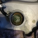 맥스하우스 이미지