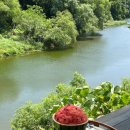 카페레오나 이미지