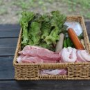 강변사리마을 이미지