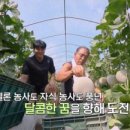 한씨농장 이미지