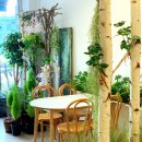 수원-1465 이미지