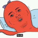 베이커리 투어 이미지