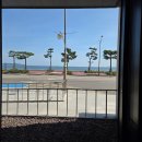 솔향기기사식당 이미지