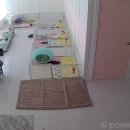 화이트 독 이미지