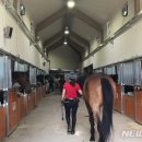 복용승마장 이미지