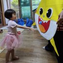 Ball/숲속으로 놀러가요 이미지