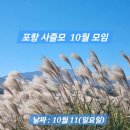 10월 11일 (일요일) 포항사즐모 10월 정기모임에 회원님들을 초대합니다 이미지