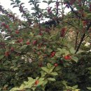 서현농장 이미지