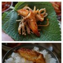 보리와 차이야기 이미지