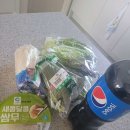 금성스파빌