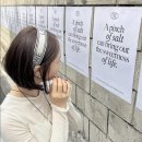 H8517 Daum카페
