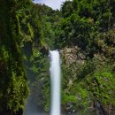 [필리핀] 바나우에 바타드 타피아(따삐야)폭포(Batad Tappiya)&amp; 마닐라 주택가 담장의 꽃. 이미지