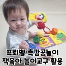 12개월 돌아기 전집 프뢰벨 토탈시스템 책육아 놀이교구 촉감책 후기