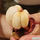 24년 4월 세부 막탄 필리핀 마트 음료, 길거리 음료, 시장 후기