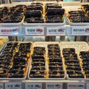 대로분식 이미지