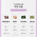 클로버케이푸드랩 이미지