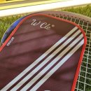 볼클럽 | 원주 피클볼 클럽 후기 더블유클 케블라 패들 선택 이유