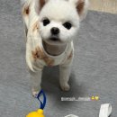 생글댕글 이미지