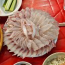 안양4동-3 | 안양중앙시장 신화수산 내돈내산 | SNS에서 핫한 일번가 야장 횟집