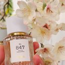 847 | 샌달우드향수 은은한 여자향수 추천 베르니엘 퍼퓸 847 후기