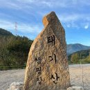 횡성 태기산 별밤 캠핑장 이미지