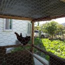 땅벗 공인중개사사무소 이미지