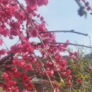 (주)대화환경 이미지