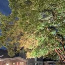 수원-0803 이미지